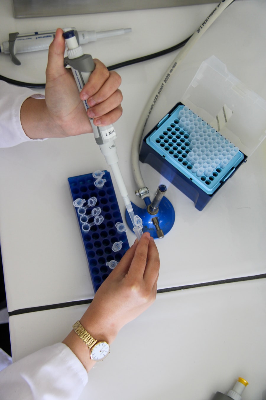 Laboratory technician preparing biomarker samples for analysis